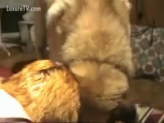 A slut's obsession is playing with her puppy.